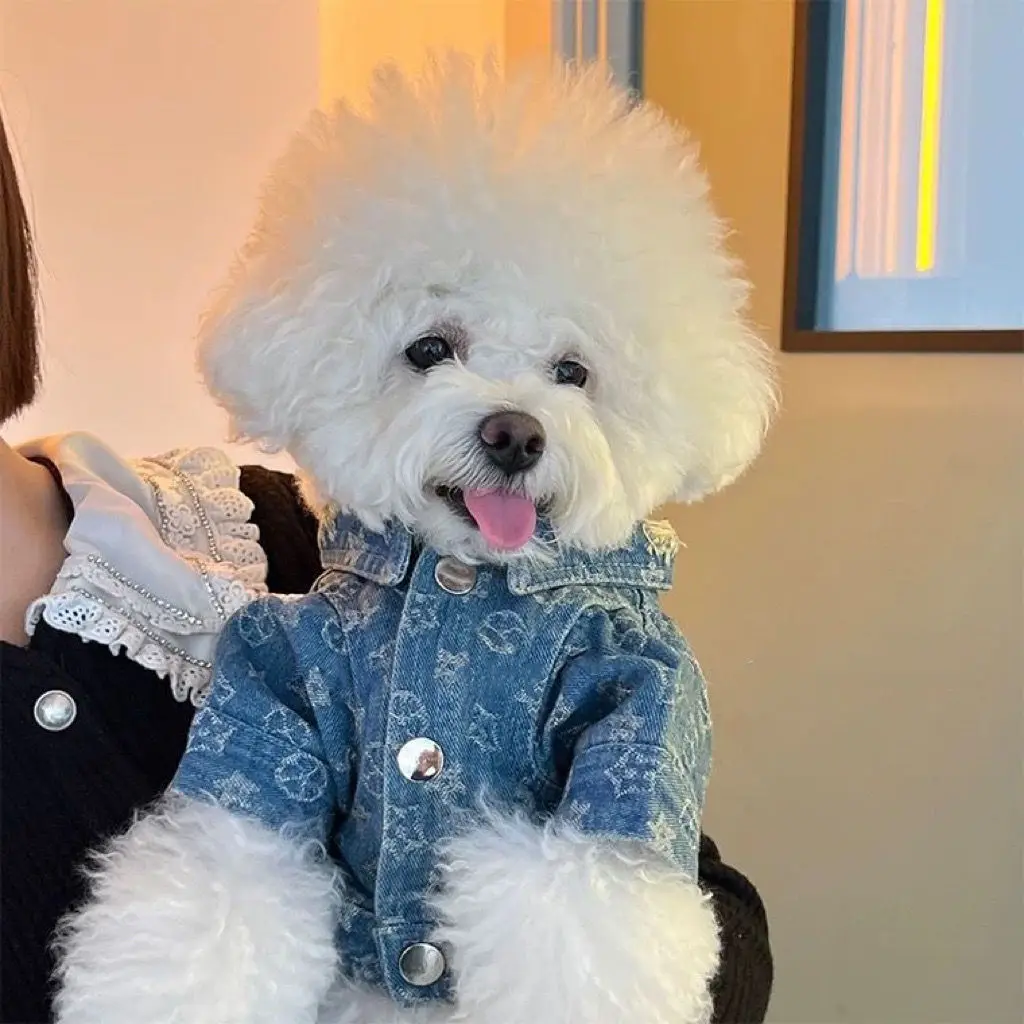 Одежда, одежда для кошек, модный жилет из денима Taddy Schnauzer для собак, весна/осень, синяя куртка для щенка, джинсовая куртка для домашних животных