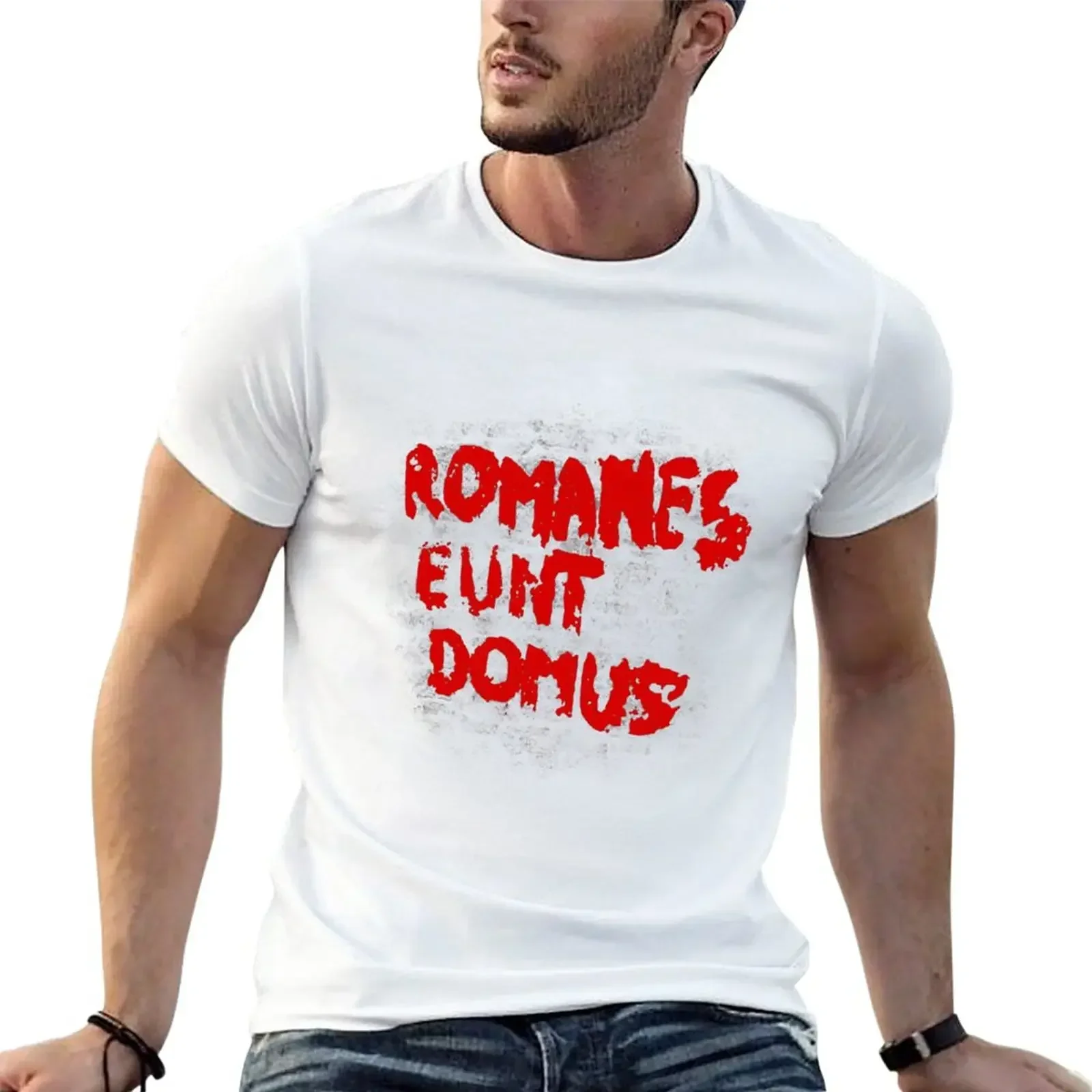 Одежда в стиле хиппи, кавайная одежда, футболки для мужчин, футболки Romanes eunt domus, Мужская одежда, Новое поступление, повседневные футболки