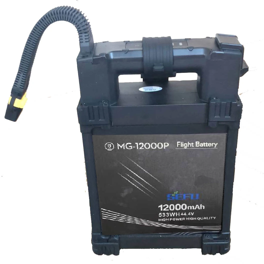 АККУМУЛЯТОР AGRAS MG1P MG 12000 MG12000P MG-12000P АККУМУЛЯТОР (art.: 3920d1bfd22a4) - 3920d1bfd22a4