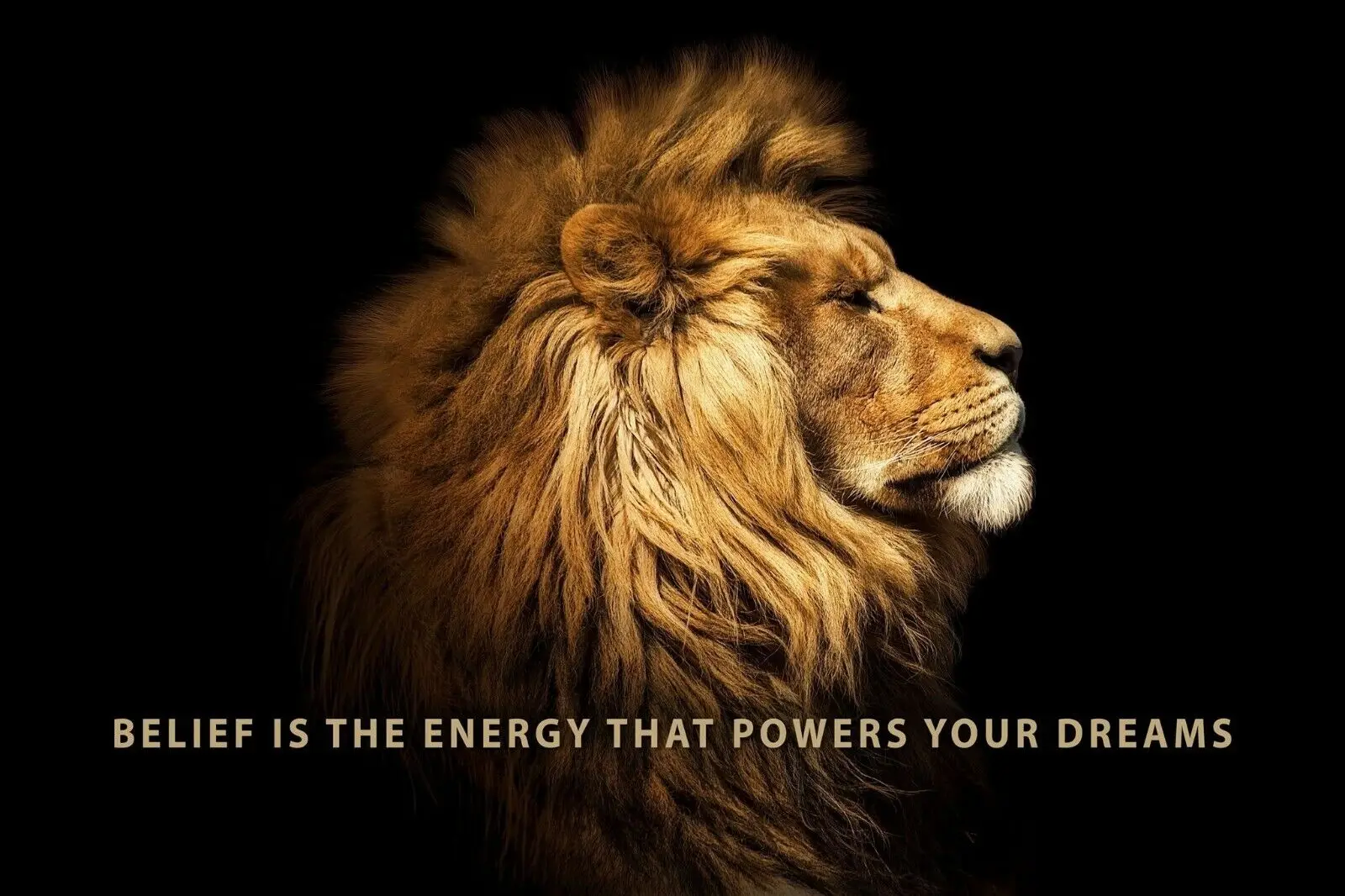 Фотография Мотивирующий вдохновляющий Lion, Шелковый постер для домашнего декора