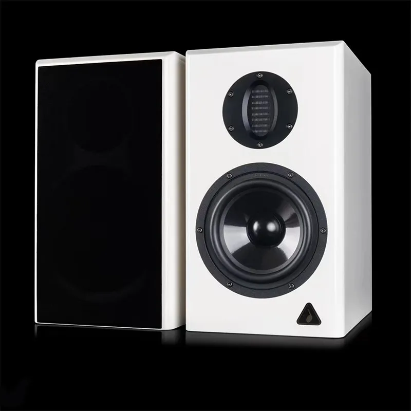 Фото BZ-02 AURUM CANTUS A6M Пневматический твитер Электронный кроссовер Двуусилитель HiFi Высококачественный активный динамик №4