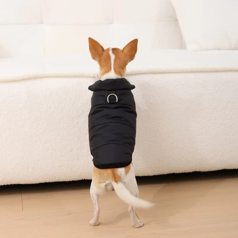Haustier-Hundekleidung для номера, mittelgroße und Mobile Hunde, Katzen, Herbst und Winter, теплый, gemütlich, verd Vai Vai Fleec (art.: 3920cd5ff67e5) - 3920cd5ff67e5