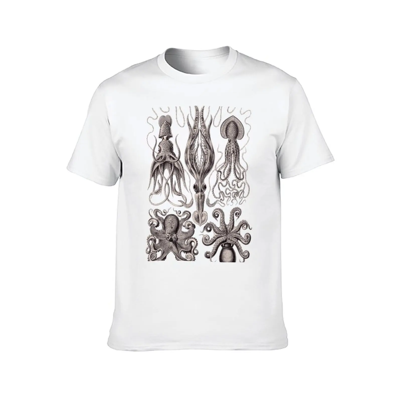 Фото Ernst Haeckel Gamochonia Octopus Lavender Grey футболка для мужчин футболки хлопок 100% футболка №2