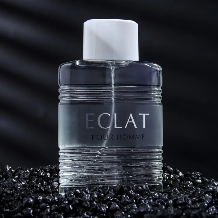 Туалетная вода мужская ECLAT pour Homme, 100 мл 9172131 (art.: 3920be057d858) - 3920be057d858