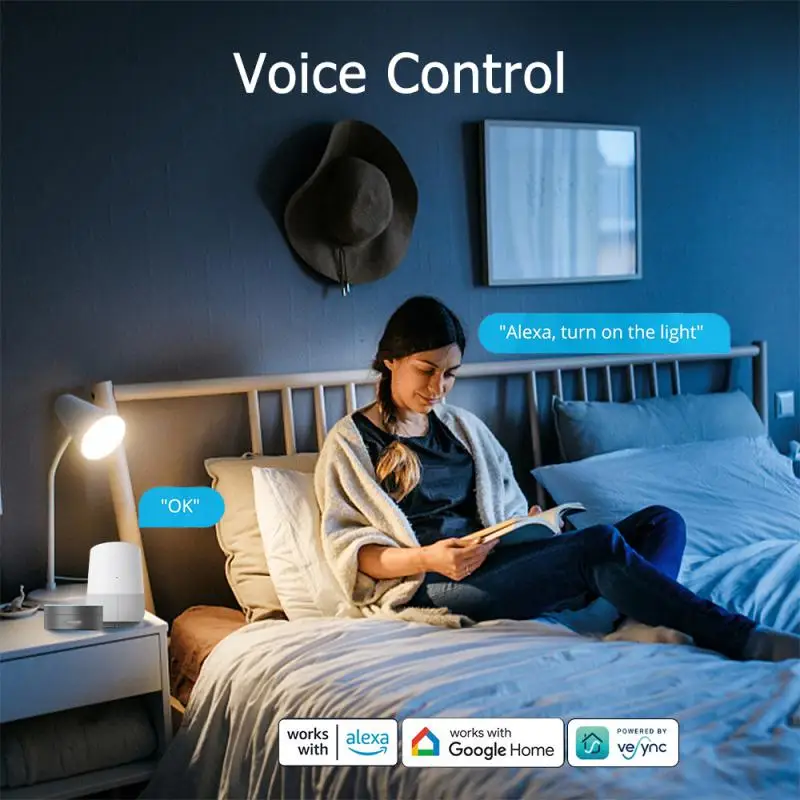 Фото 20A WiFi умная вилка ЕС FR розетка с контролем мощности Vesync APP контроль Путешествия адаптер работает с Alexa Google Home №2