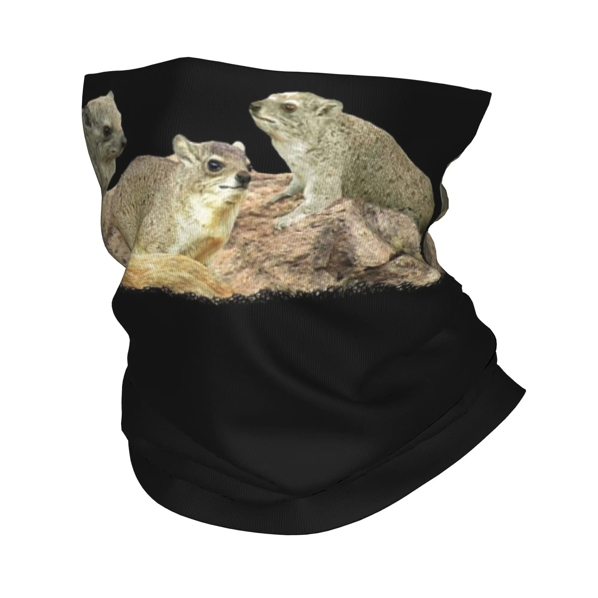 Rock Hyrax Desert Badger Африка Бандана Шея Гетры Маска с принтом Шарф Многофункциональный головной убор Спорт на открытом воздухе для мужчин Женщин Взрослых