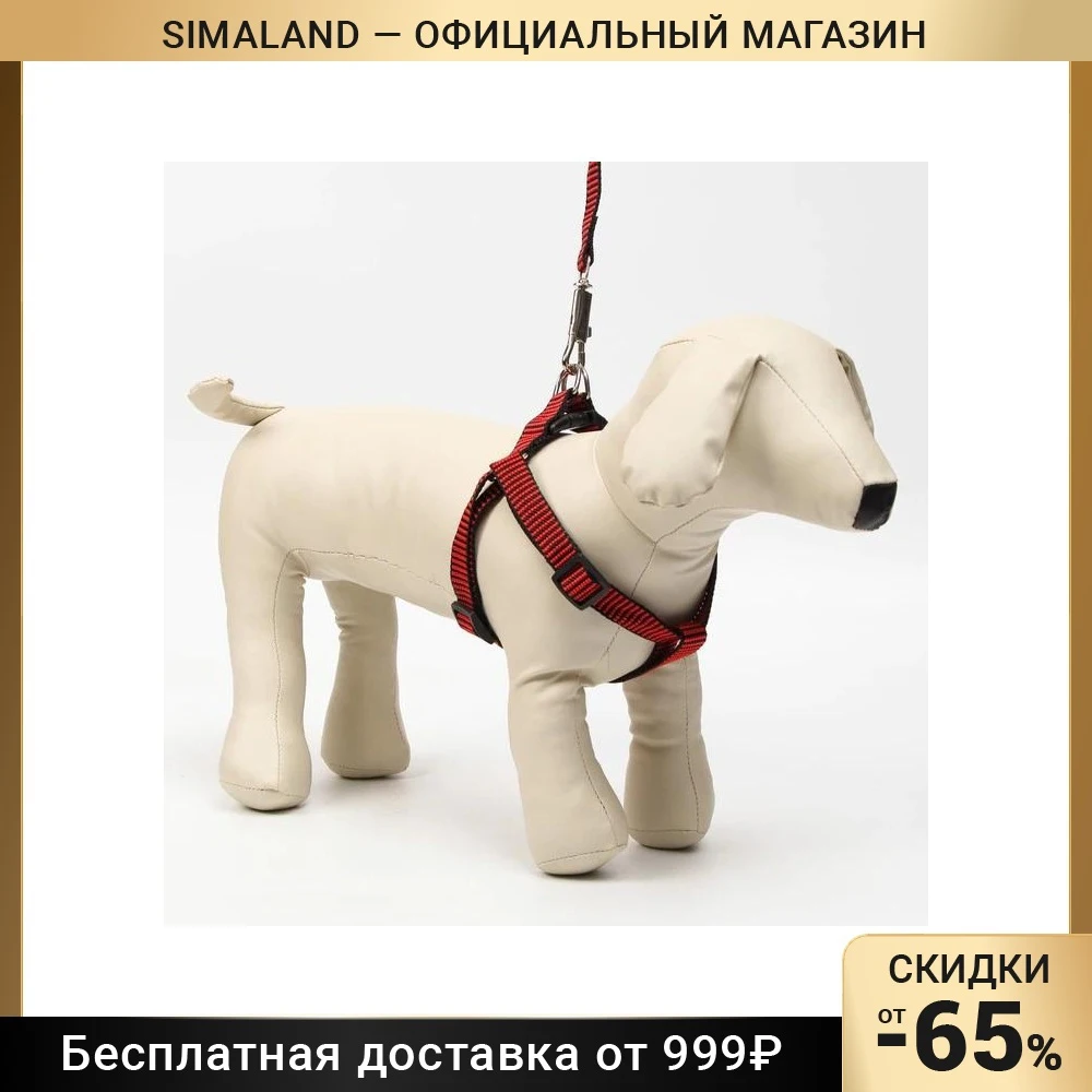 Комплект амуниции рельефный, 2 см, поводок 120 см, красно-чёрный 7119180
