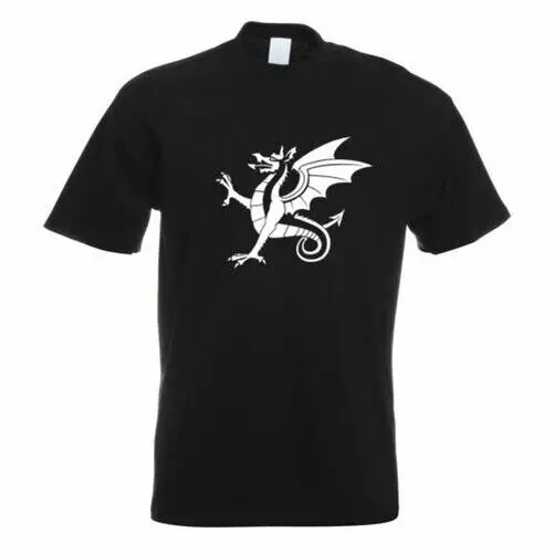 Белая футболка с принтом Anglo Saxon Wyrm, забавный дизайн