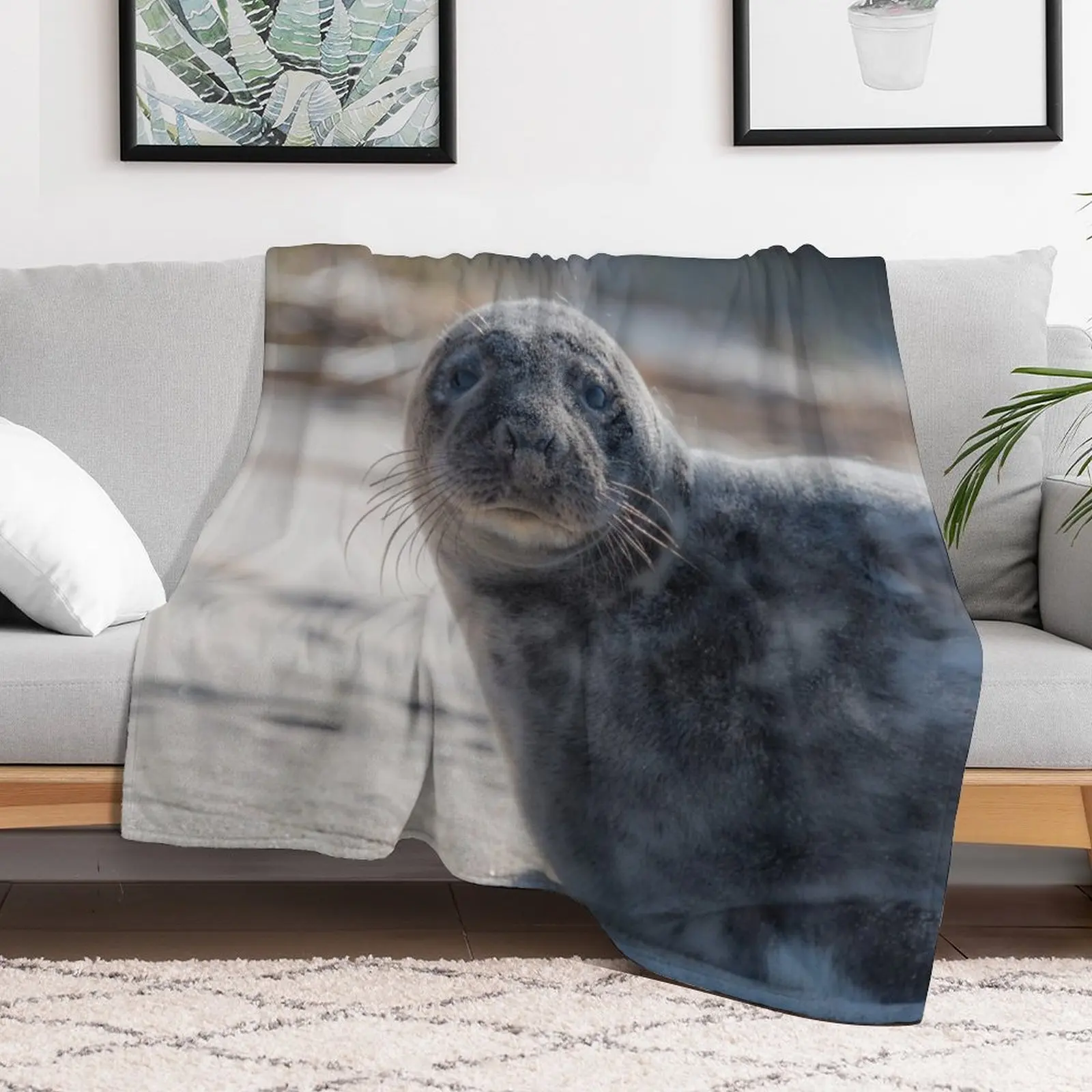 Фото Плед Sweet Baby Seal на пляже Looking At You с большими глазами для дивана, манга, большие роскошные одеяла St №2