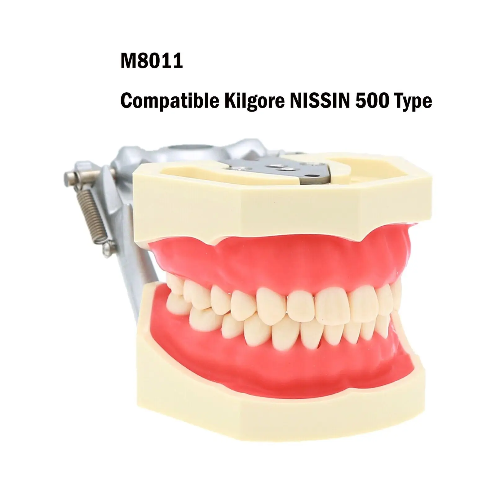 28 шт. съемные зубы Typodont для Kilgore NISSIN 500 типа, набор для практики швов и вставных зубов M8011/M8024