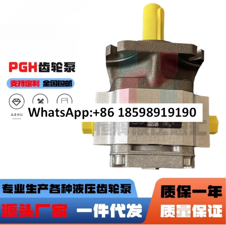 Шестеренчатый насос PGF2-22/011R PGH3-22/022R Гидравлический масляный насос PGM PGP