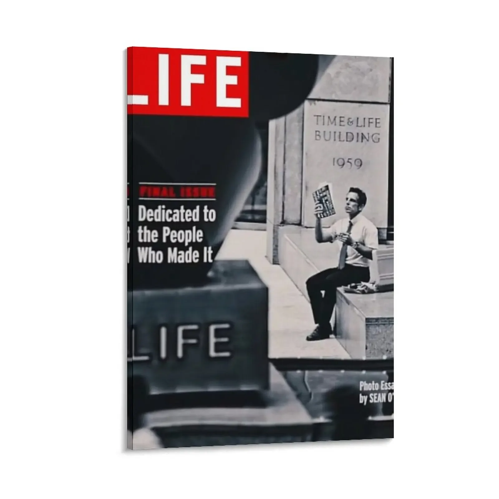 Life Magazine Walter Mitty Холст Картина декоративные предметы для дома аниме Настенное украшение рамка
