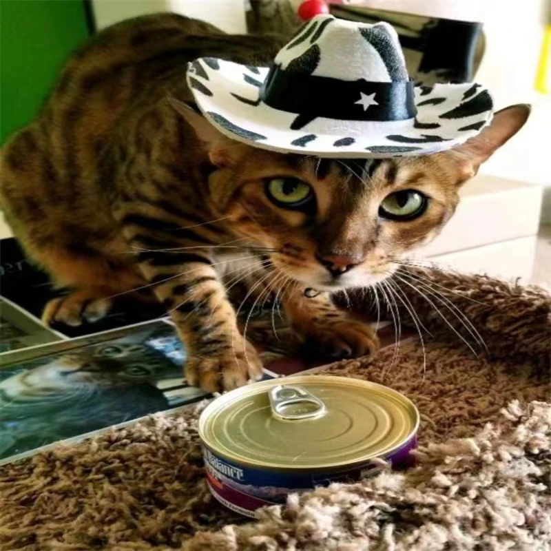 Регулируемая веревка с рисунком коровы, кошка, собака, котенок, джинсовые шляпы для домашних животных, мини-ковбойская шляпа в стиле вестерн для щенков с украшением в виде пятиконечной звезды