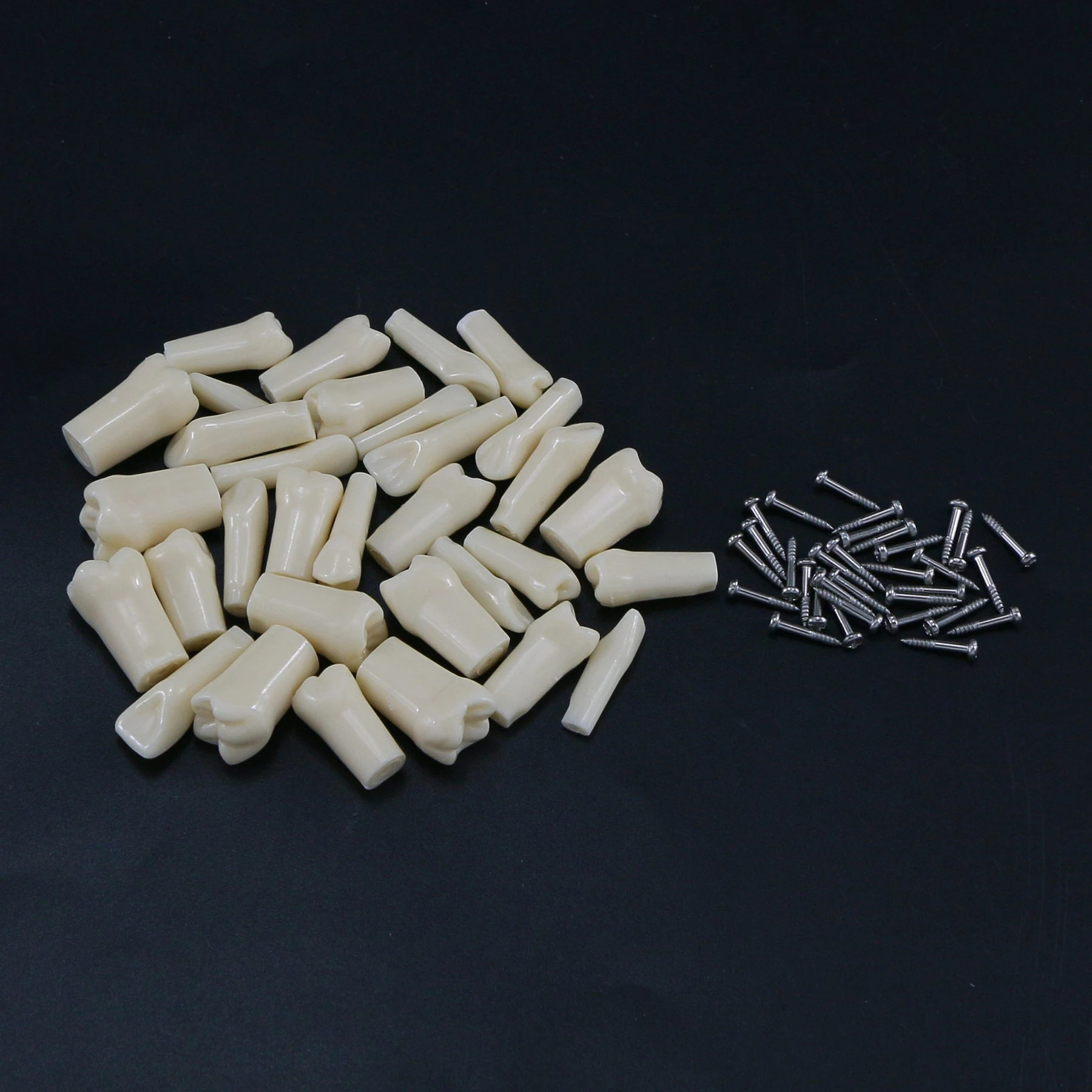 Фото Тип AG3 Dental Typodont Замена 32 шт. Ввинчивающиеся зубы Модель Frasaco M8022 №3