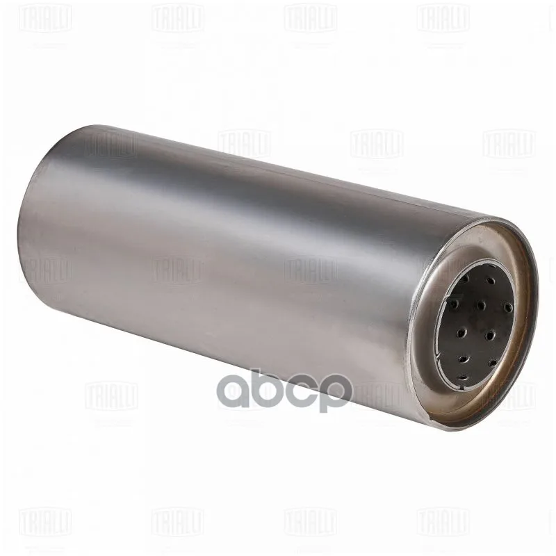 Пламегаситель Универсальный 100/250-55 С Перф. Диффузором (Esm 10025055d) Trialli арт. ESM10025055d
