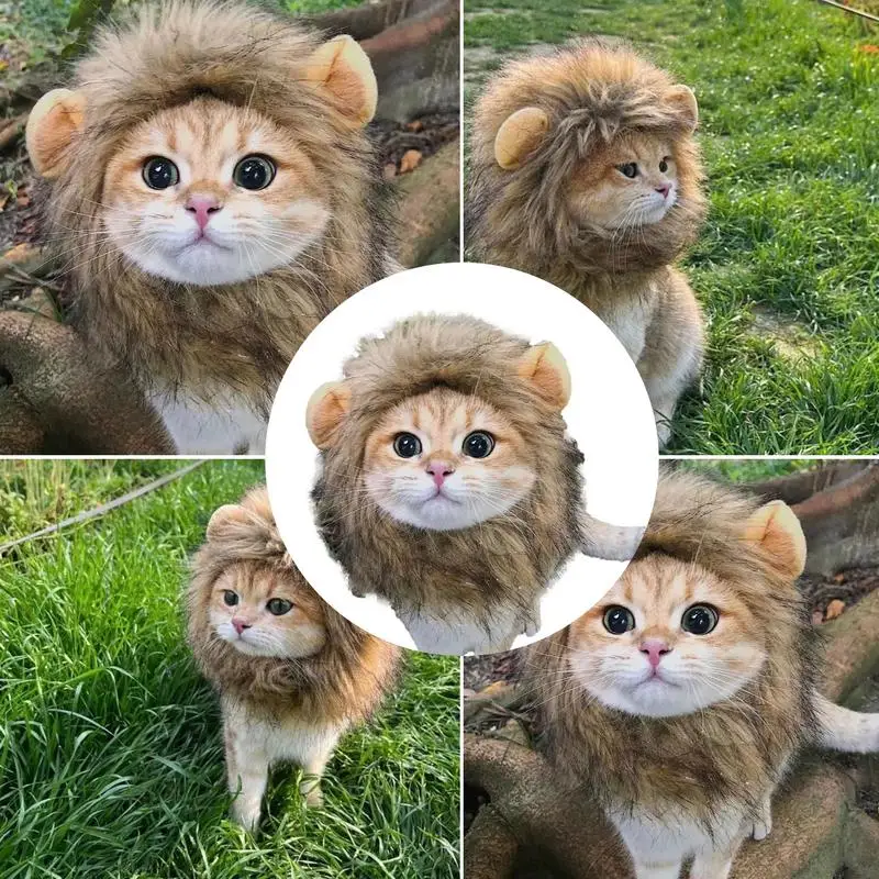 Фото Парик «Лев грива» для кошек, «Лев грива» №5