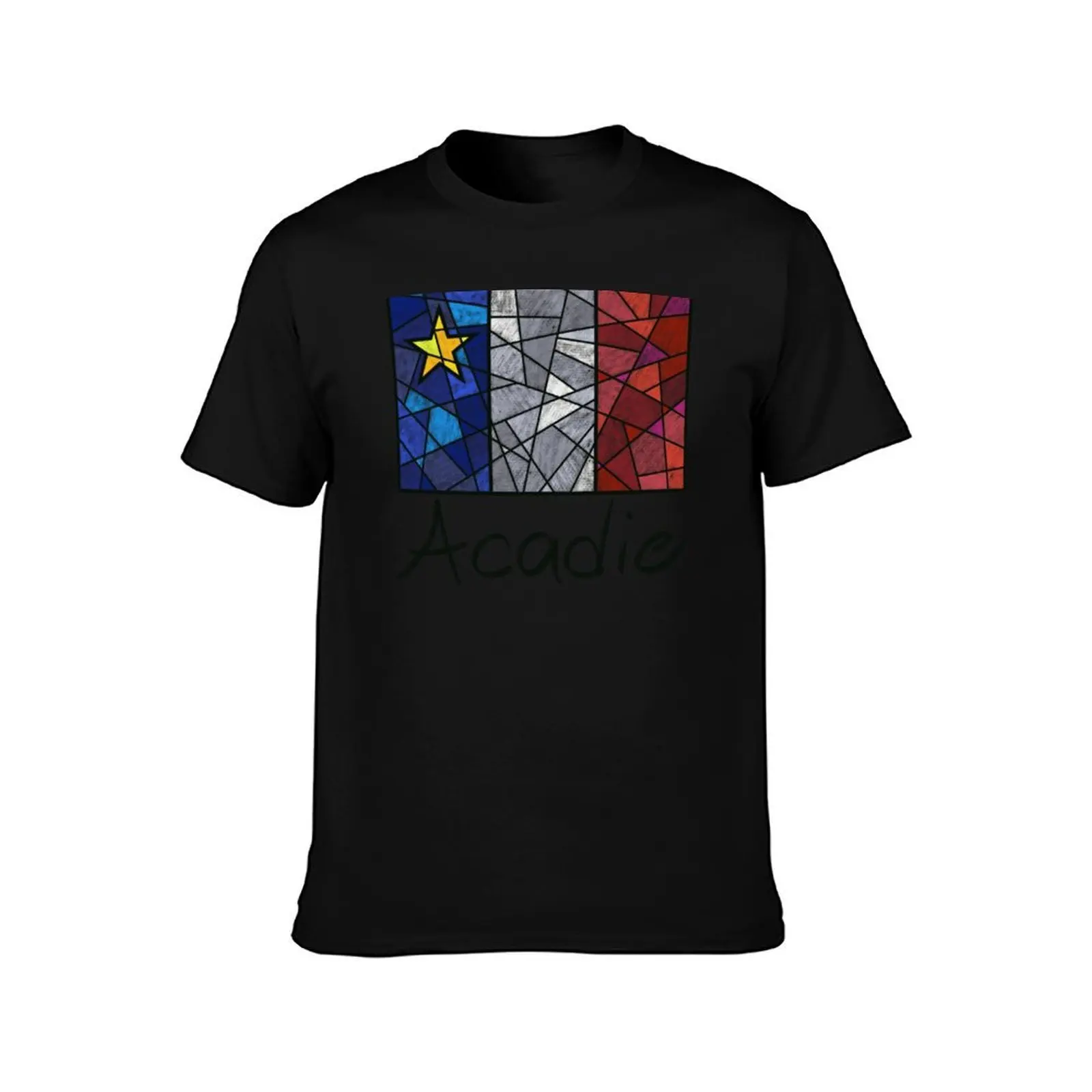 Фото Пастельная жидкая мозаика с флагом Acadian - Drapeau acadien moza?que liquide pastel vitrail футболка милые топы компрессионная рубашка для мужчин №2