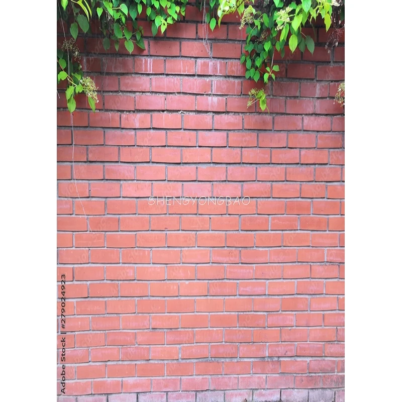 Фото Винтажный фон для фотосъемки с фотографиями №2