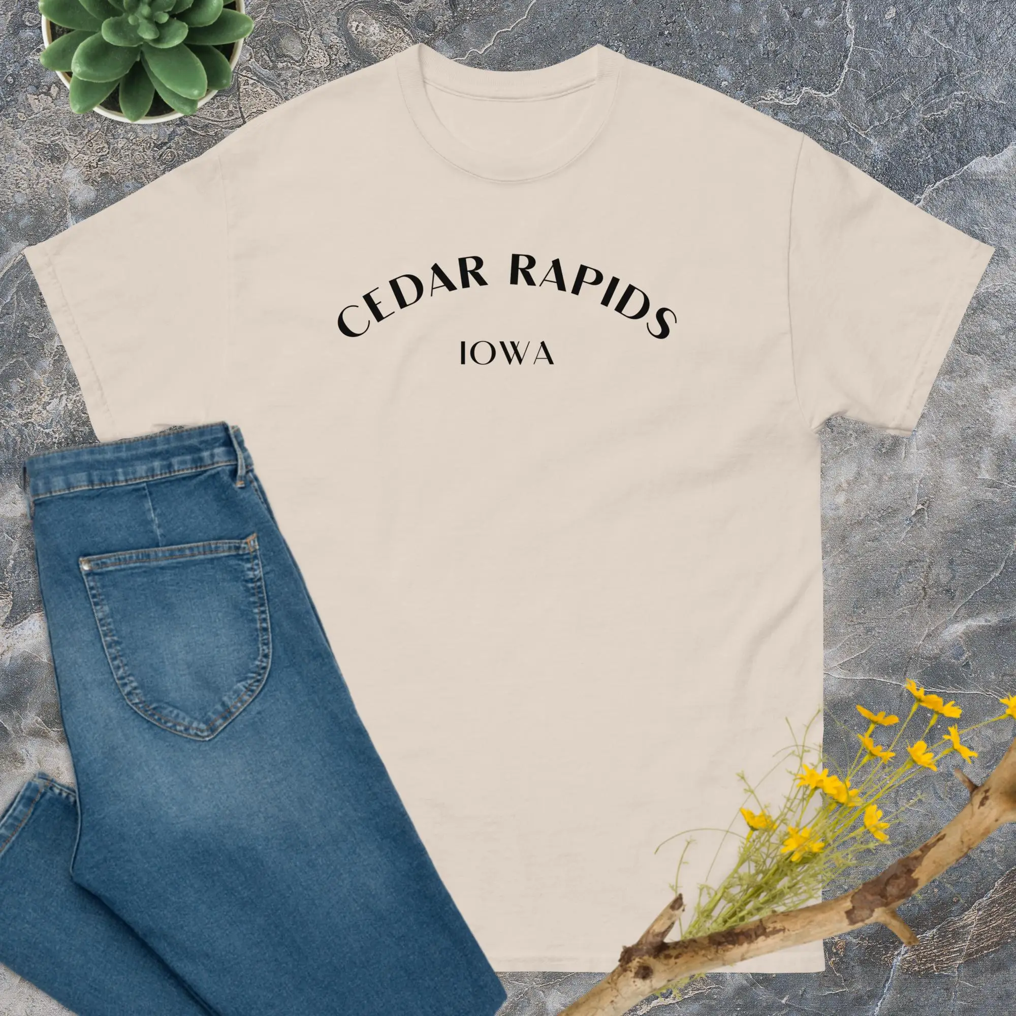 Cedar Rapids Iowa Trip Comfort Colors Футболка для путешествий
