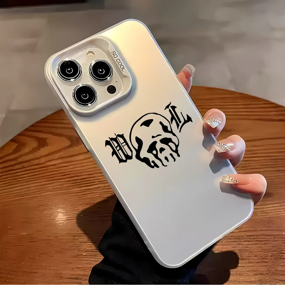 Фото W-W Nederland L-Lotas Чехол для телефона Модный чехол для IPhone 16 15 14 Plus 13 12 11 Pro Max X Xs XR 8 7 Матовый цветной серебристый жесткий чехол №5