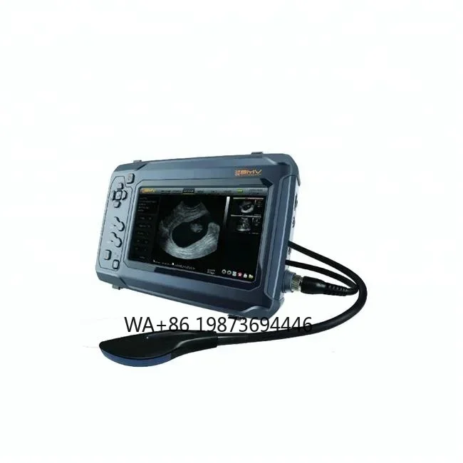 Ветеринарный сканер Bestscan S6 для быков