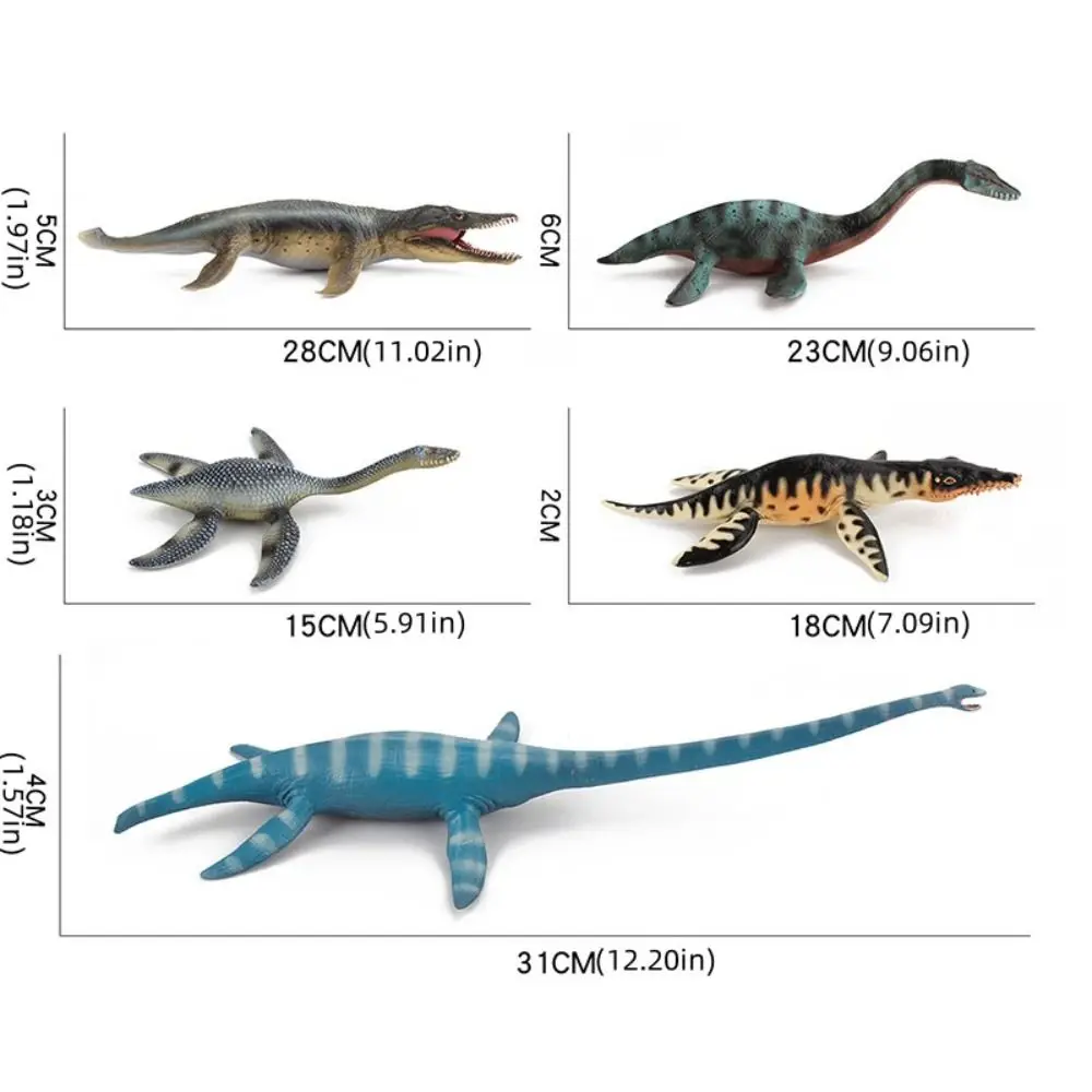 Плезиозавр, доисторическая биологическая модель, Кроннозавр Лиopleurodon, фигурки древних животных Юрского периода, Талоассодон (art.: 3920cf866c676) - 3920cf866c676