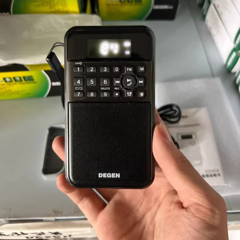 Degen DE608 Новый многофункциональный FM-радио MP3-плеер Портативные беспроводные Bluetooth-колонки с функцией записи фонарика