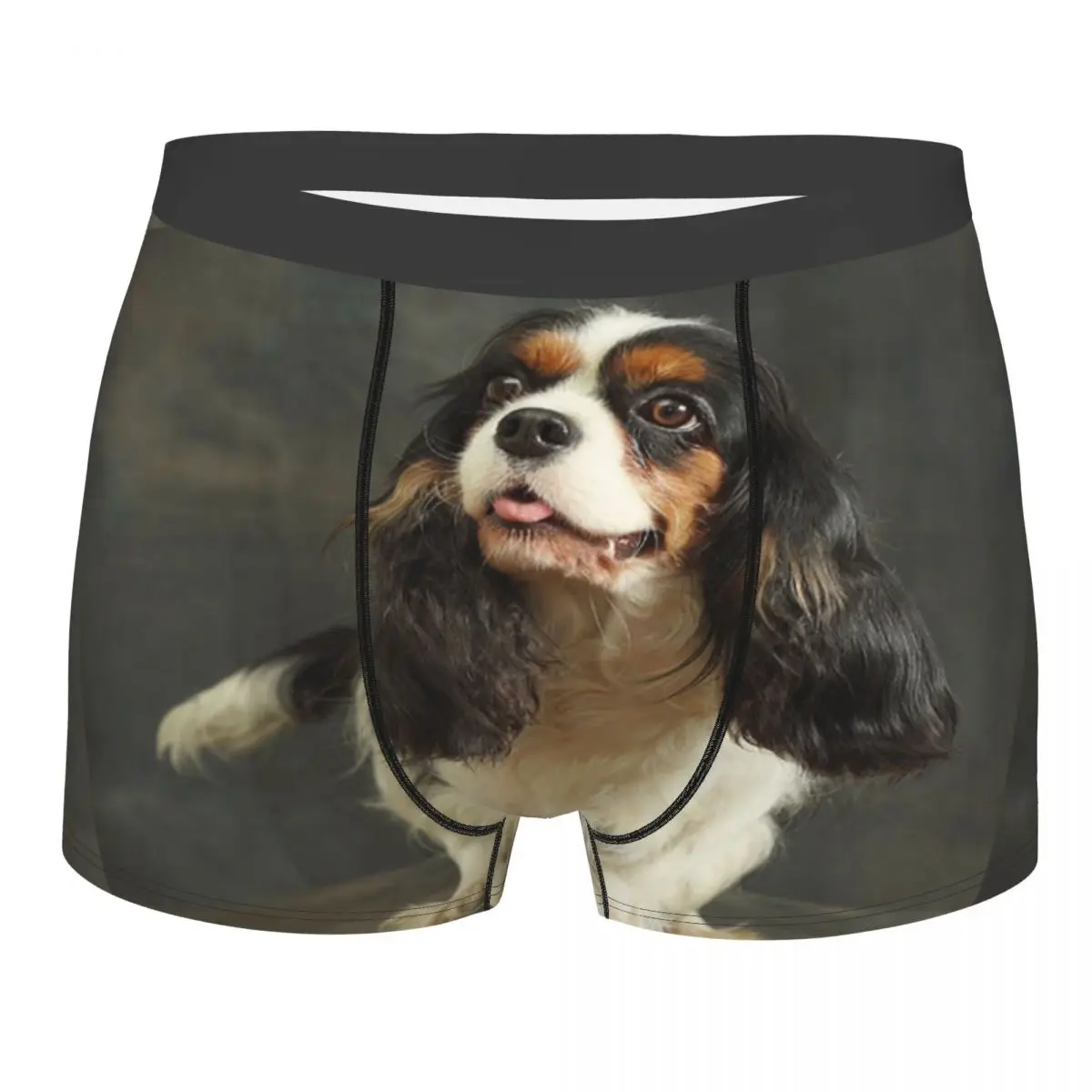 Трусы-боксеры мужские с 3D-принтом, нижнее белье для собак, Cavalier King Charles Spaniel