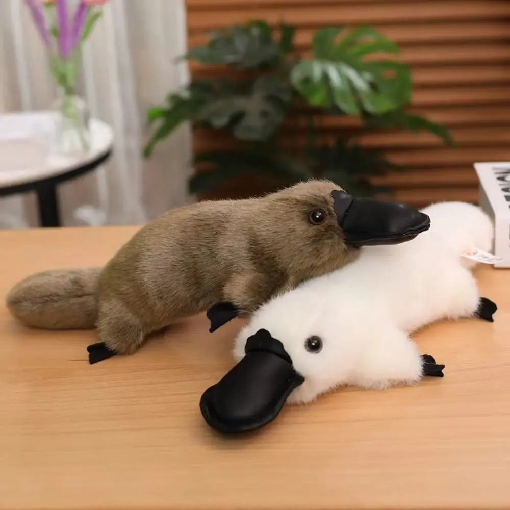 ПП хлопок эмуляция Platypus мягкие игрушки пушистая коллекция Platypus плюшевые игрушки мультфильм мягкие животные мягкие куклы домашний декор (art.: 3920cc72933b0) - 3920cc72933b0