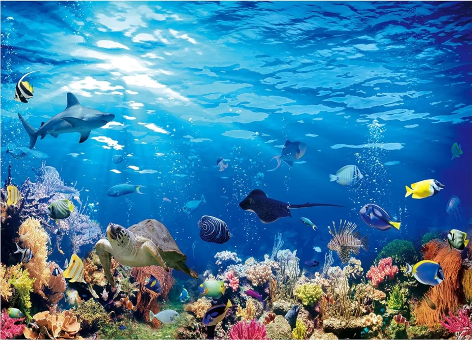 Фотофон для студийной фотосъемки под водой и морем