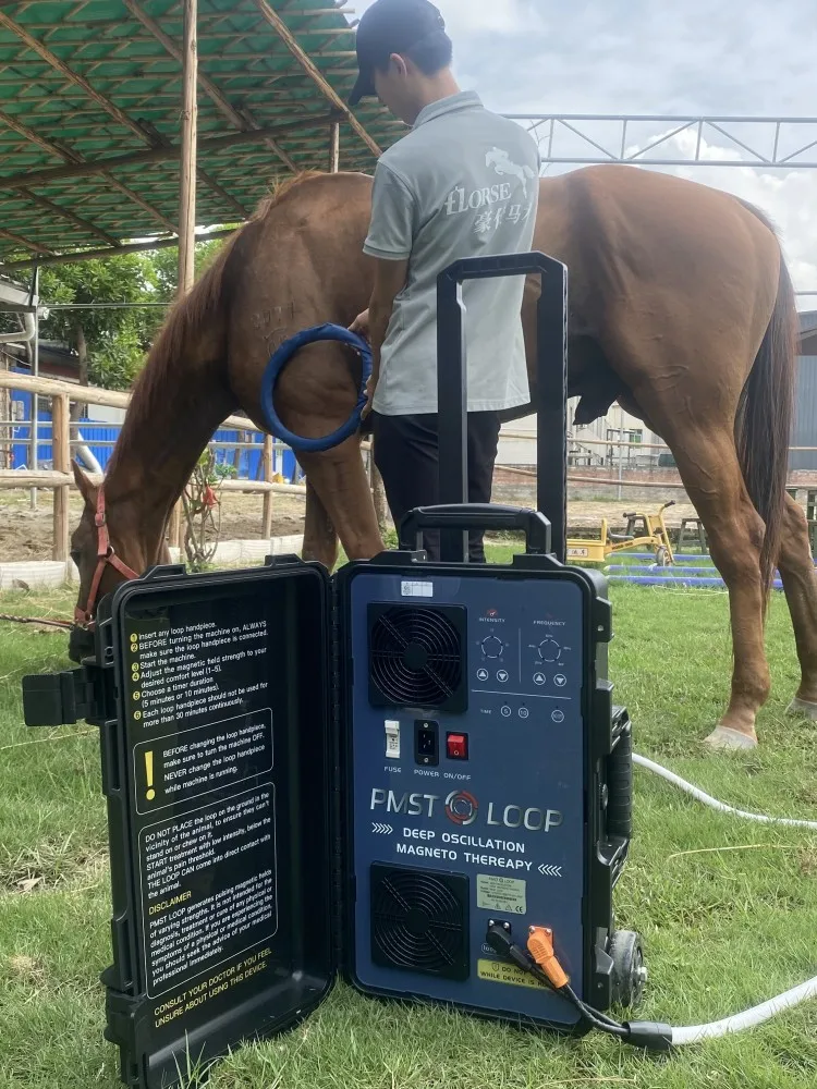 PMST LOOP Equine PEMF Device Magnawave Machine Физиомагнитная терапия с петлей-бабочкой для облегчения боли в животных