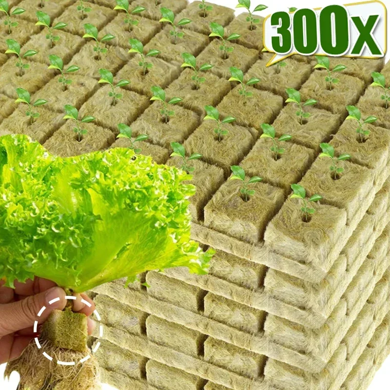 Кубики для выращивания растений, 50-300 шт.