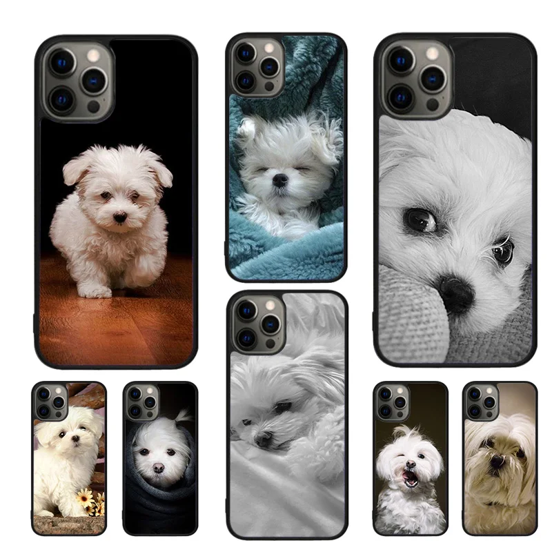 Maltese Dog Puppy Cute Phone Case For iPhone 16 15 14 11 12 13 mini Pro  XR XS MAX Plus coque Cover Shell