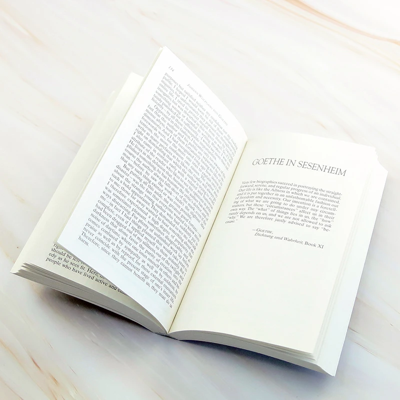 The sorrow of Young Werther, Самые продаваемые книги на английском языке, классические романы 9780451418555 (art.: 3920c535939a2) - 3920c535939a2