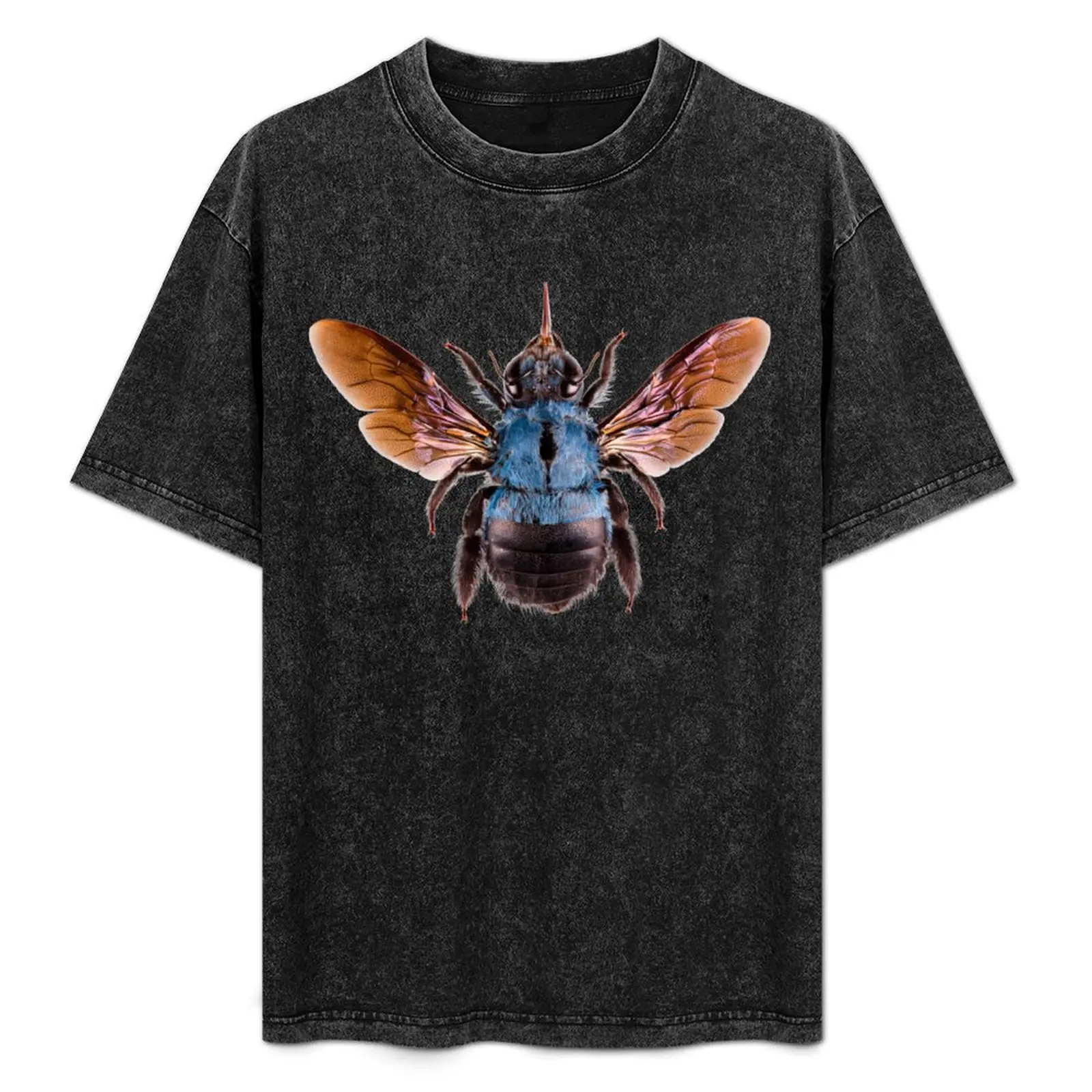 Футболка Cerulean плотника пчела (Xylocopa Caerulea) аниме одежда незаменимая Футболка Блузка Забавные футболки для мужчин