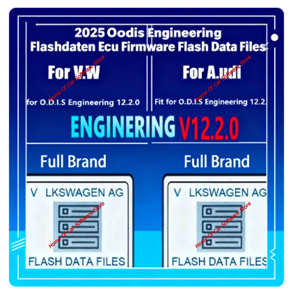 Флэш-папки данных Odis Engineering Flashdaten Ecu 2025 года V.w A.udi для S.eat для S.koda + Odis-e V12.2.0