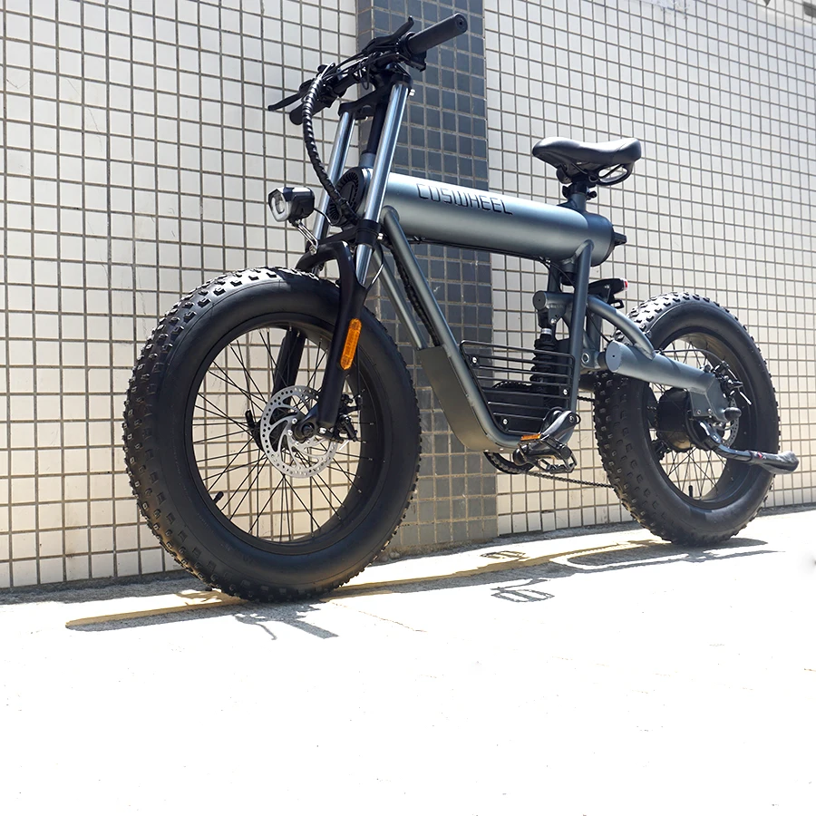 Чехол для электрического велосипеда COSWHEEL T20, водонепроницаемый, 500 Вт