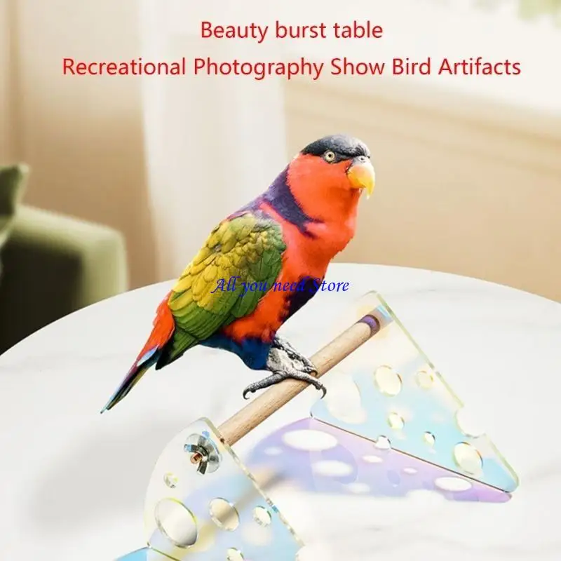 Фото K9FB Parrot Desktop Stand Bird Purch Parrot Stand Perch Bird Cage Parch Parrot Stand №5