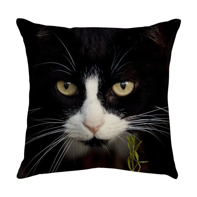 Фото Koleksi Cetak Kucing Lucu Pola Cetak Bantal Cetak Dekorasi Rumah antor №3