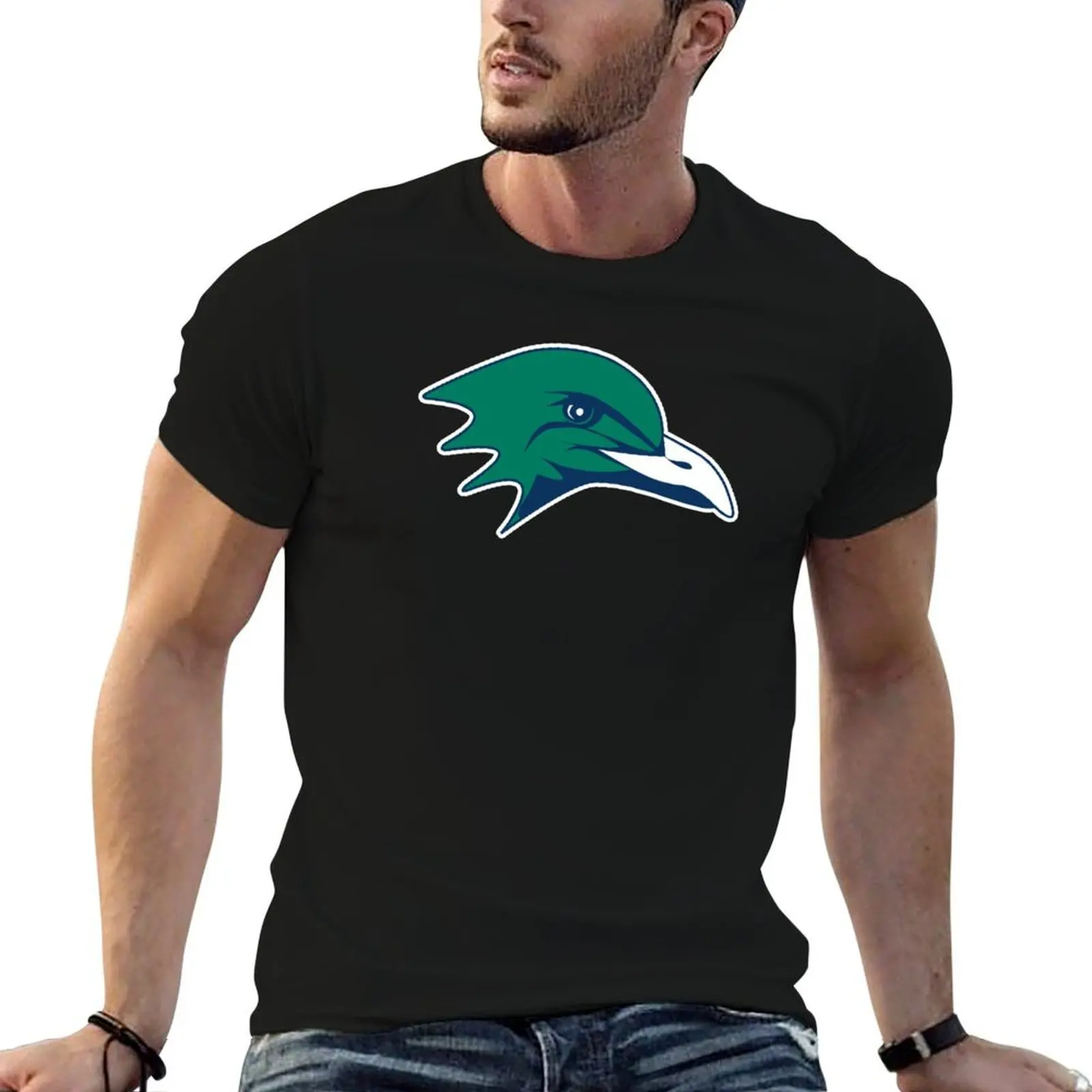 Футболка Endicott College Gulls, футболка с аниме, забавные футболки, мужская футболка