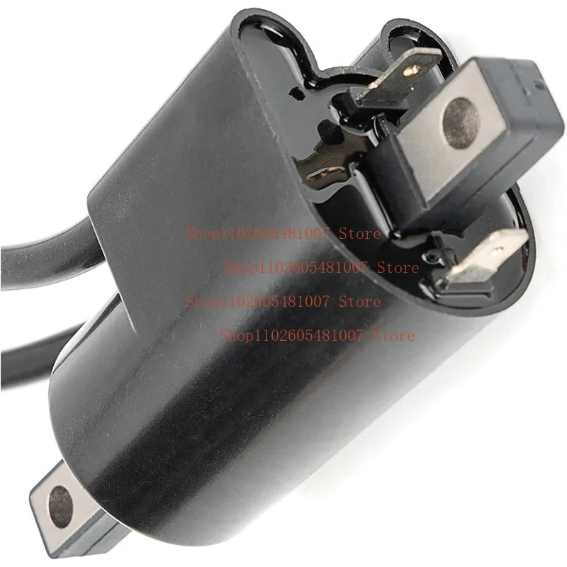 278000383 278001130 Катушка зажигания для SeaDoo GSI GSX GTI GTS GTX