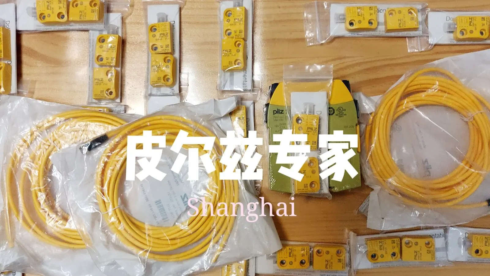 30382; 20857; PILZ PSEN Ma1.4p-50/PSEN Ma1.40-3 506332 506308 506300