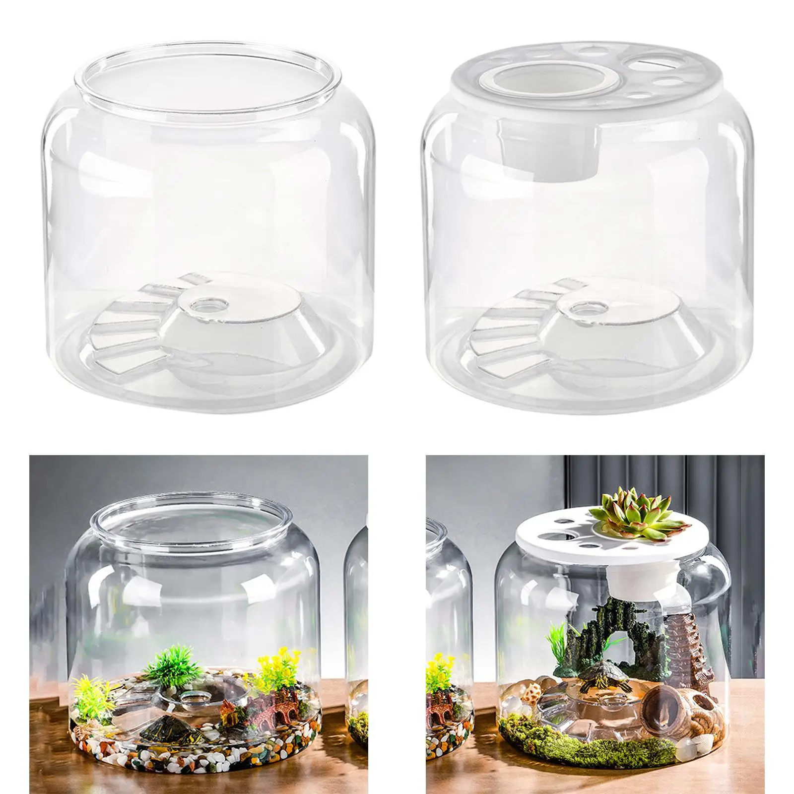 Turtle Tank Aquatic Aquarium Clear Table Fashion Step Terrarium DIY Micro Landscape for Cafe Apartment Dorm Dining Room Decor